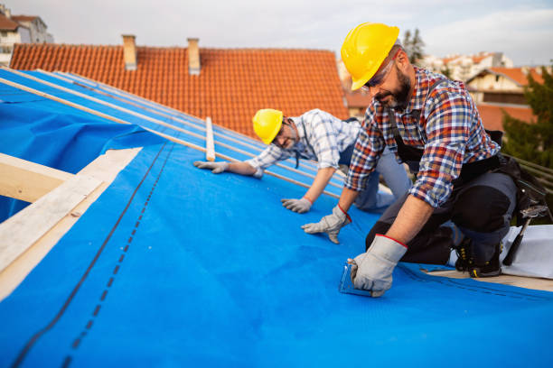Roof Gutter Cleaning in Jenkintown, PA